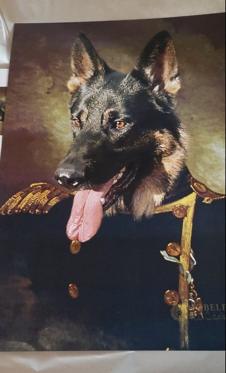 Der Admiral - Porträt auf Leinwand und Holzrahmen