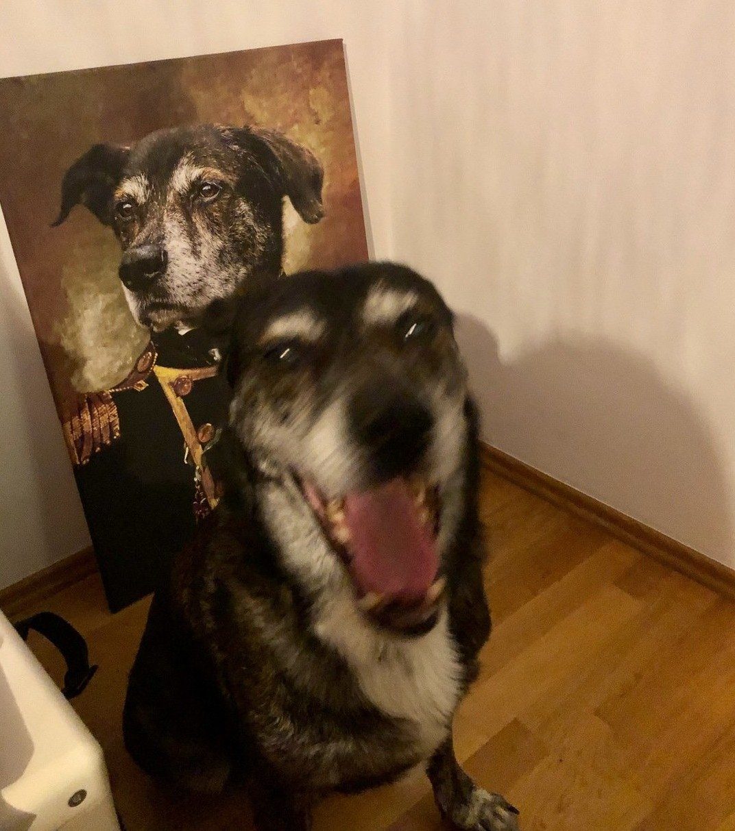 Der Admiral - Porträt auf Leinwand und Holzrahmen