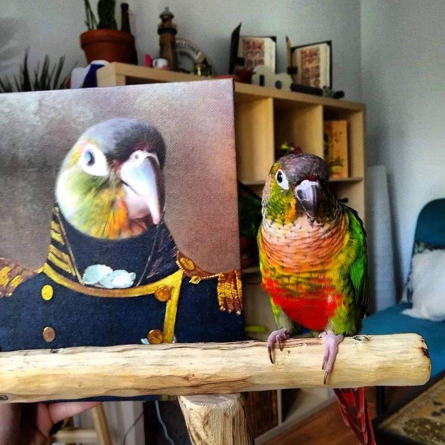 Der Admiral - Porträt auf Leinwand und Holzrahmen