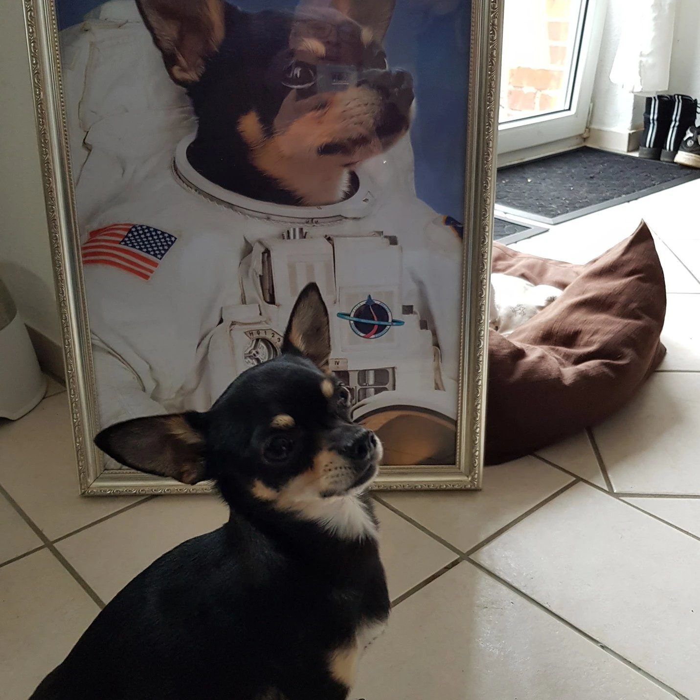 Der Astronaut - Poster auf 250g Qualitätsdruck