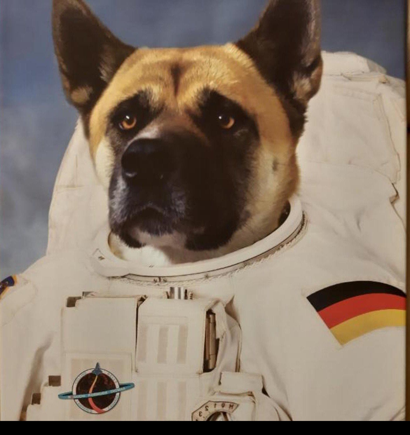 El Astronauta - Póster con impresión de calidad de 250g