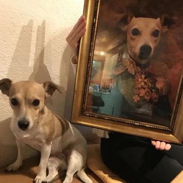 Lustige Tierportraits Hund malen lassen
