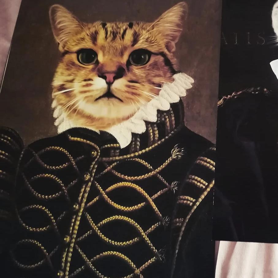 Katzenportrait auf Leinwand Tierporträt eigenes haustier