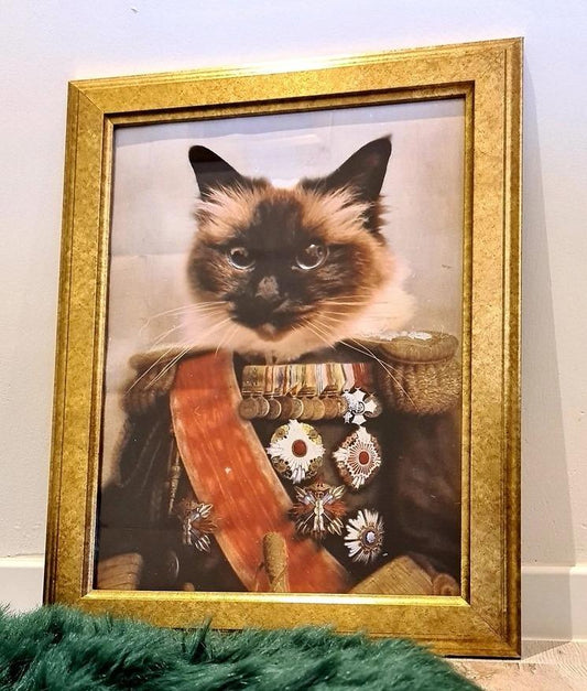 Der Japanische Admiral - Poster auf 250g Qualitätsdruck