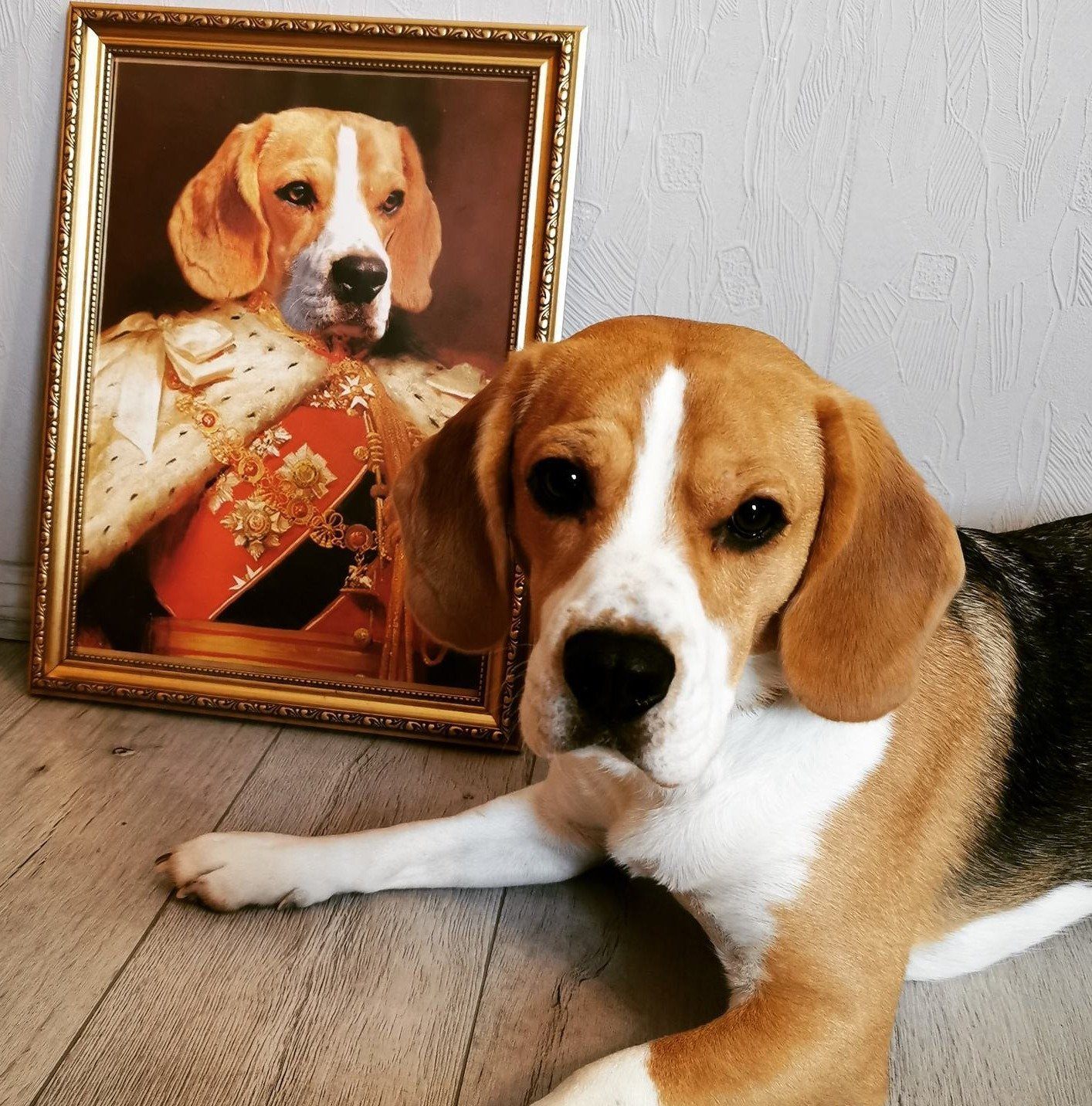 Der König von England -  Poster auf 250g Qualitätsdruck