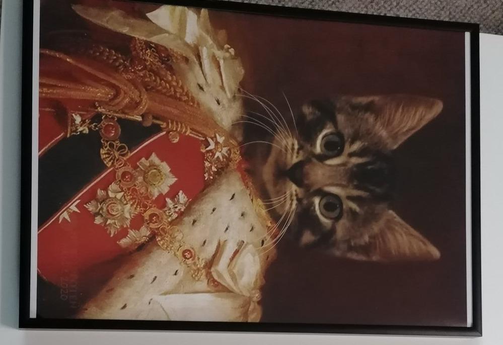Der König von England -  Poster auf 250g Qualitätsdruck