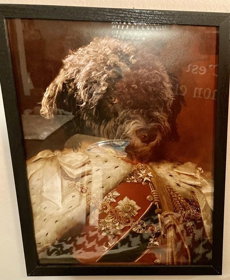 Der König von England -  Poster auf 250g Qualitätsdruck