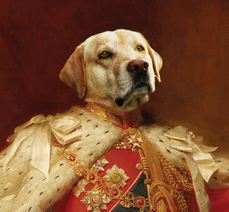 Bild Hund in Kleidung Drucken lassen als König