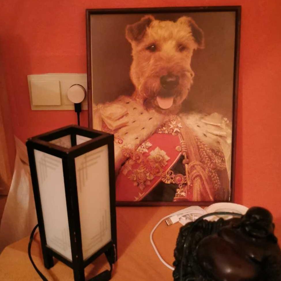 Der König von England -  Poster auf 250g Qualitätsdruck