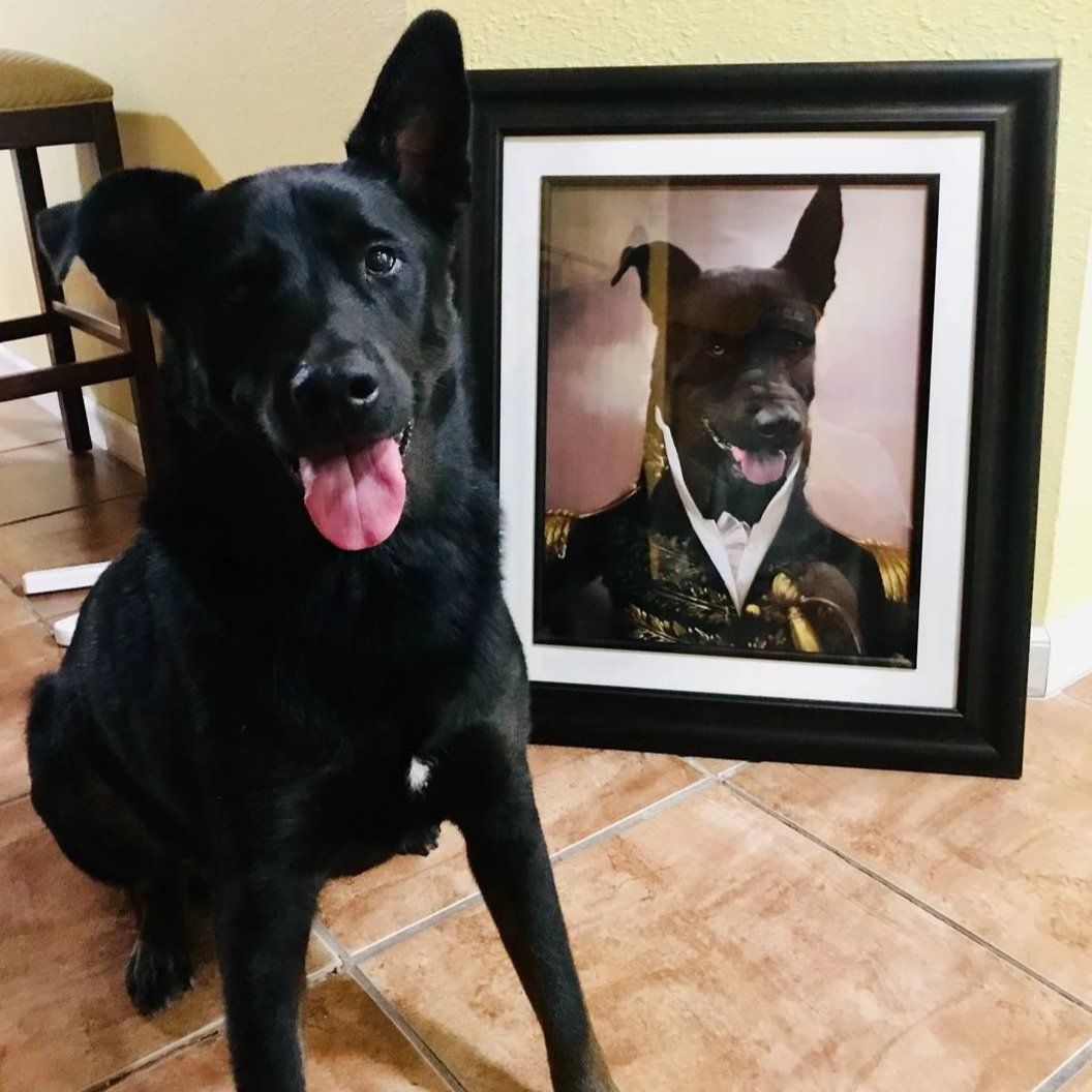 Dein Hund Poster Eigener Hund Portrait
