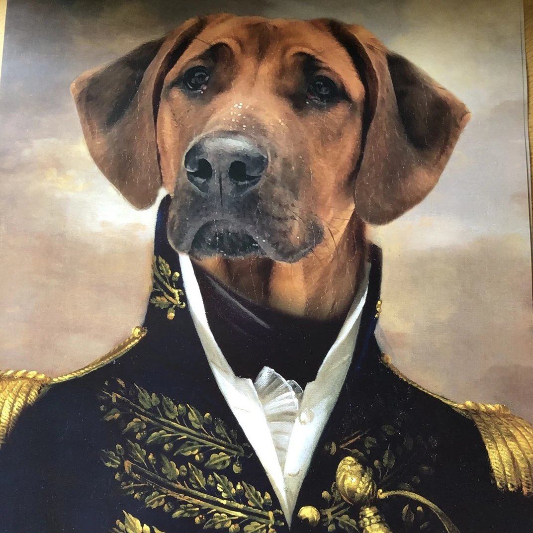Der Offizier -  Poster auf 250g Qualitätsdruck
