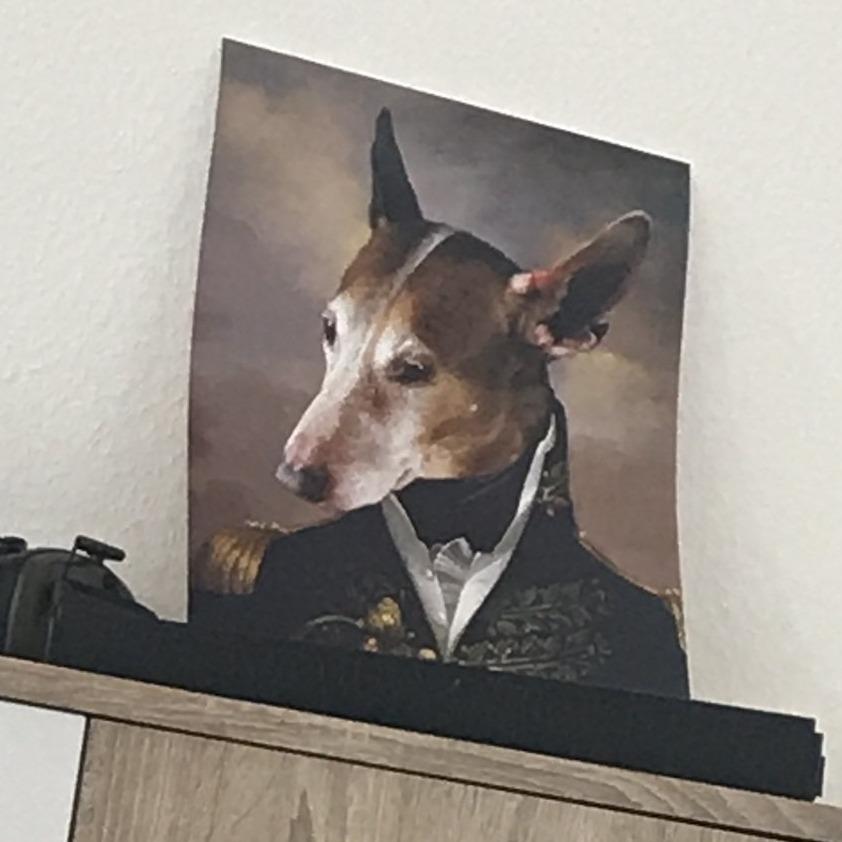 Der Offizier -  Poster auf 250g Qualitätsdruck