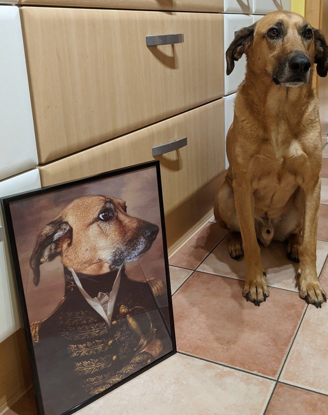 Der Offizier -  Poster auf 250g Qualitätsdruck