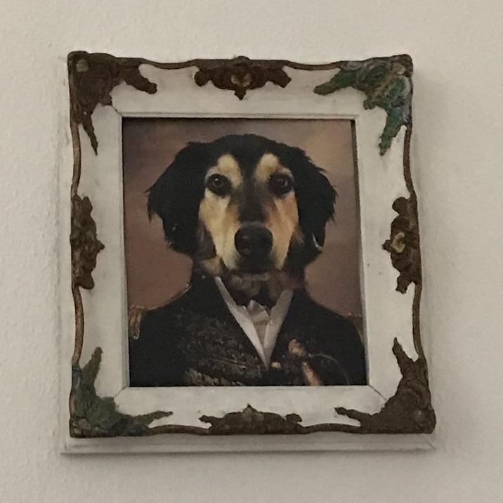 Der Offizier -  Poster auf 250g Qualitätsdruck