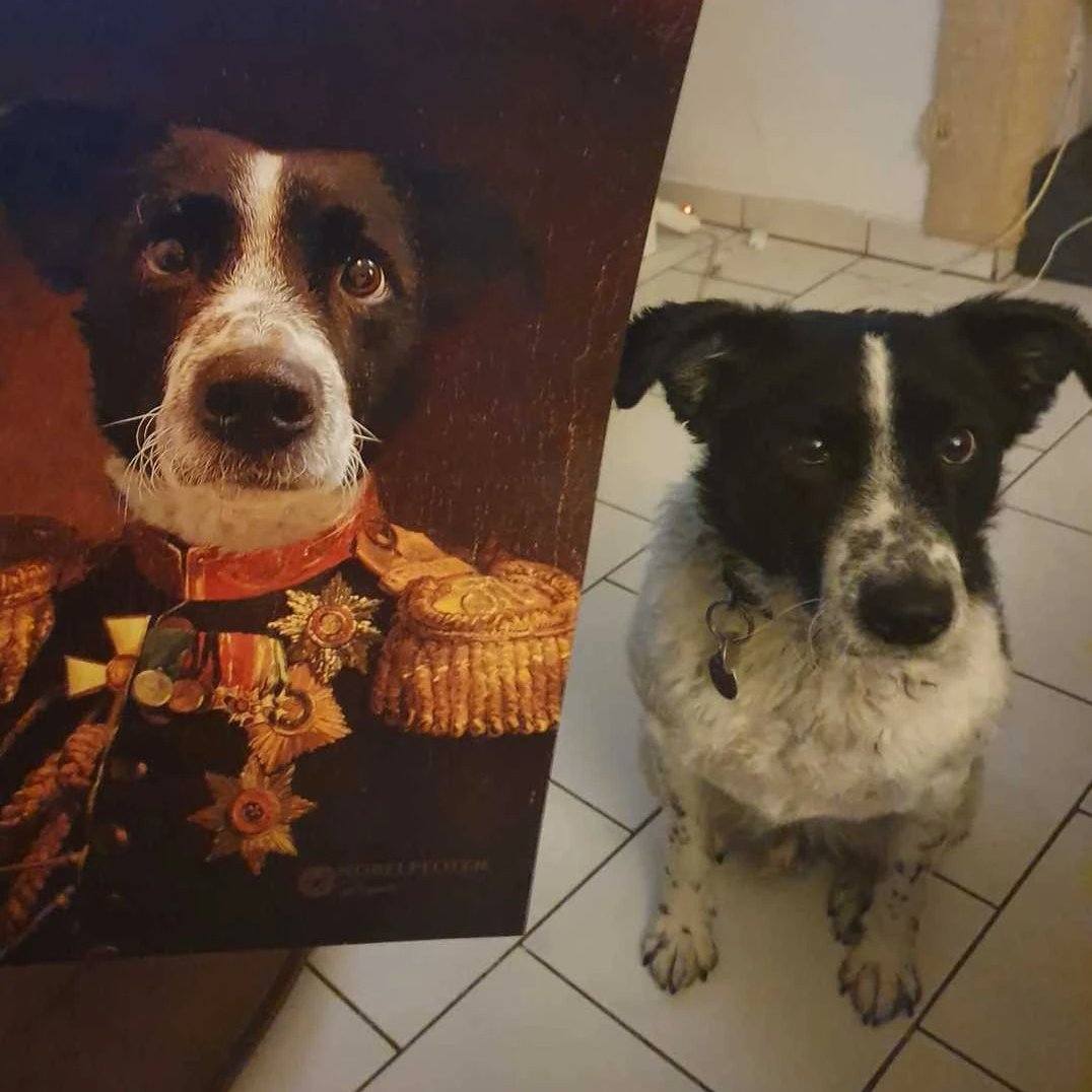 Der Veteran -  Poster auf 250g Qualitätsdruck