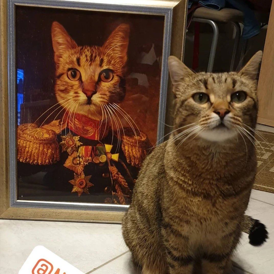 Der Veteran -  Poster auf 250g Qualitätsdruck