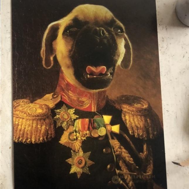Der Veteran -  Poster auf 250g Qualitätsdruck