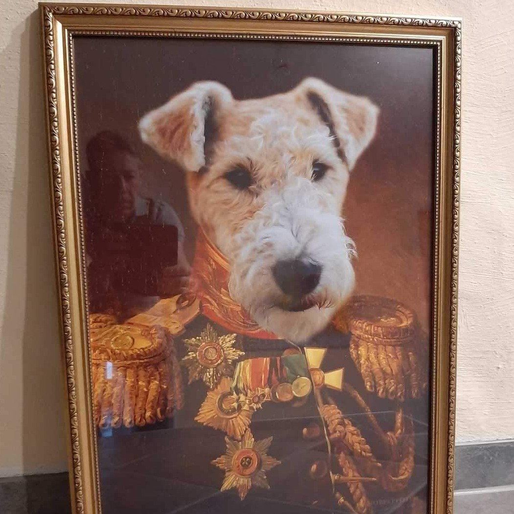 Der Veteran -  Poster auf 250g Qualitätsdruck