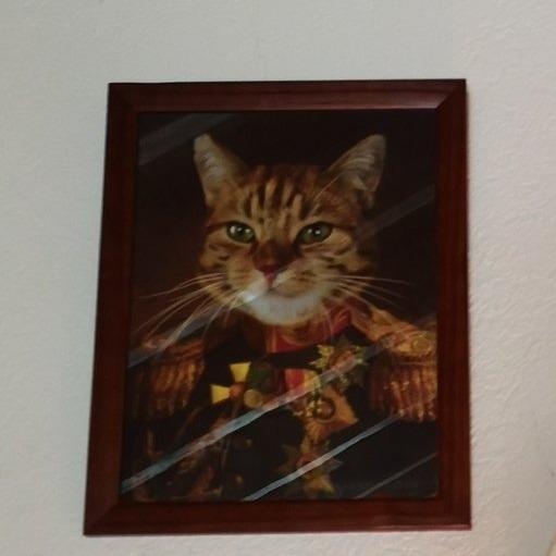 Der Veteran -  Poster auf 250g Qualitätsdruck