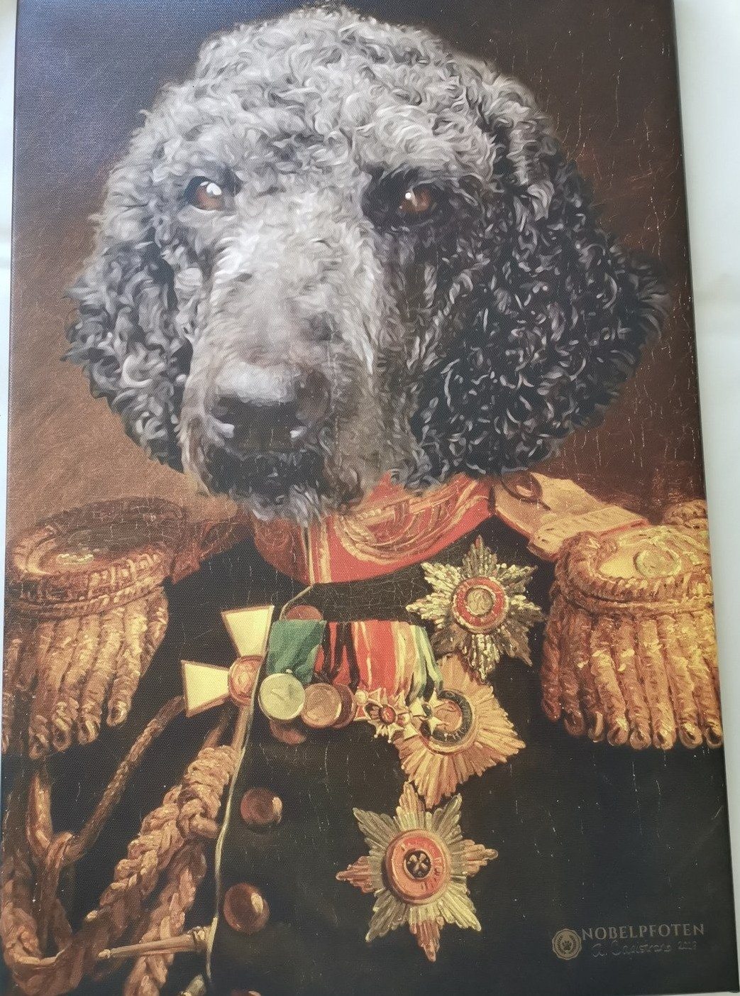 Der Veteran -  Poster auf 250g Qualitätsdruck