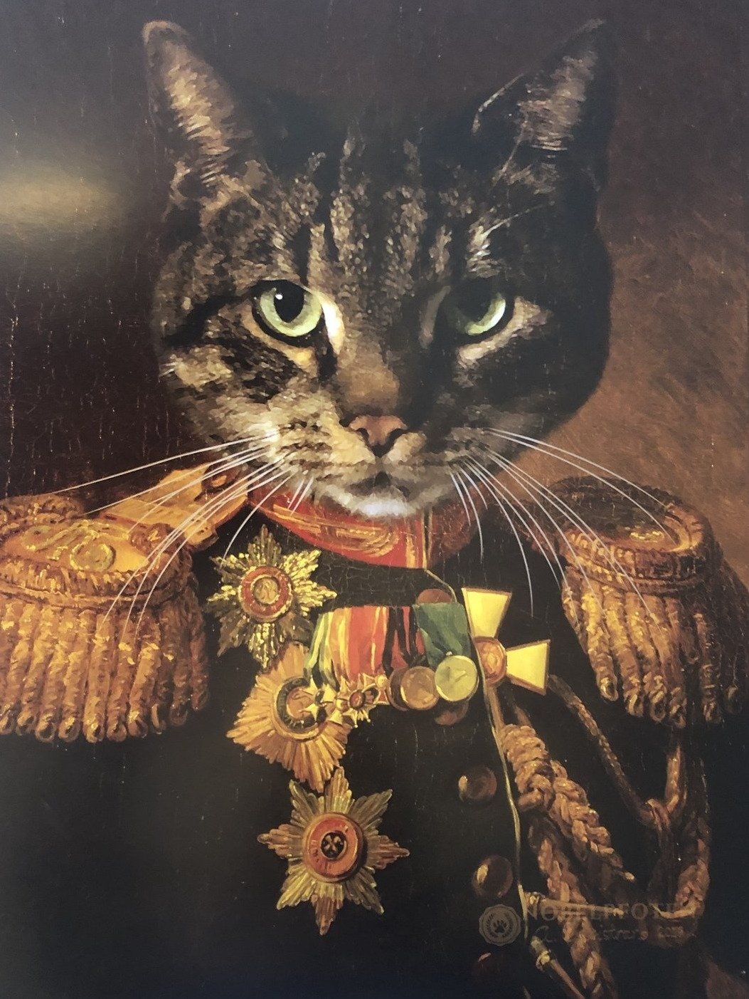 Der Veteran -  Poster auf 250g Qualitätsdruck