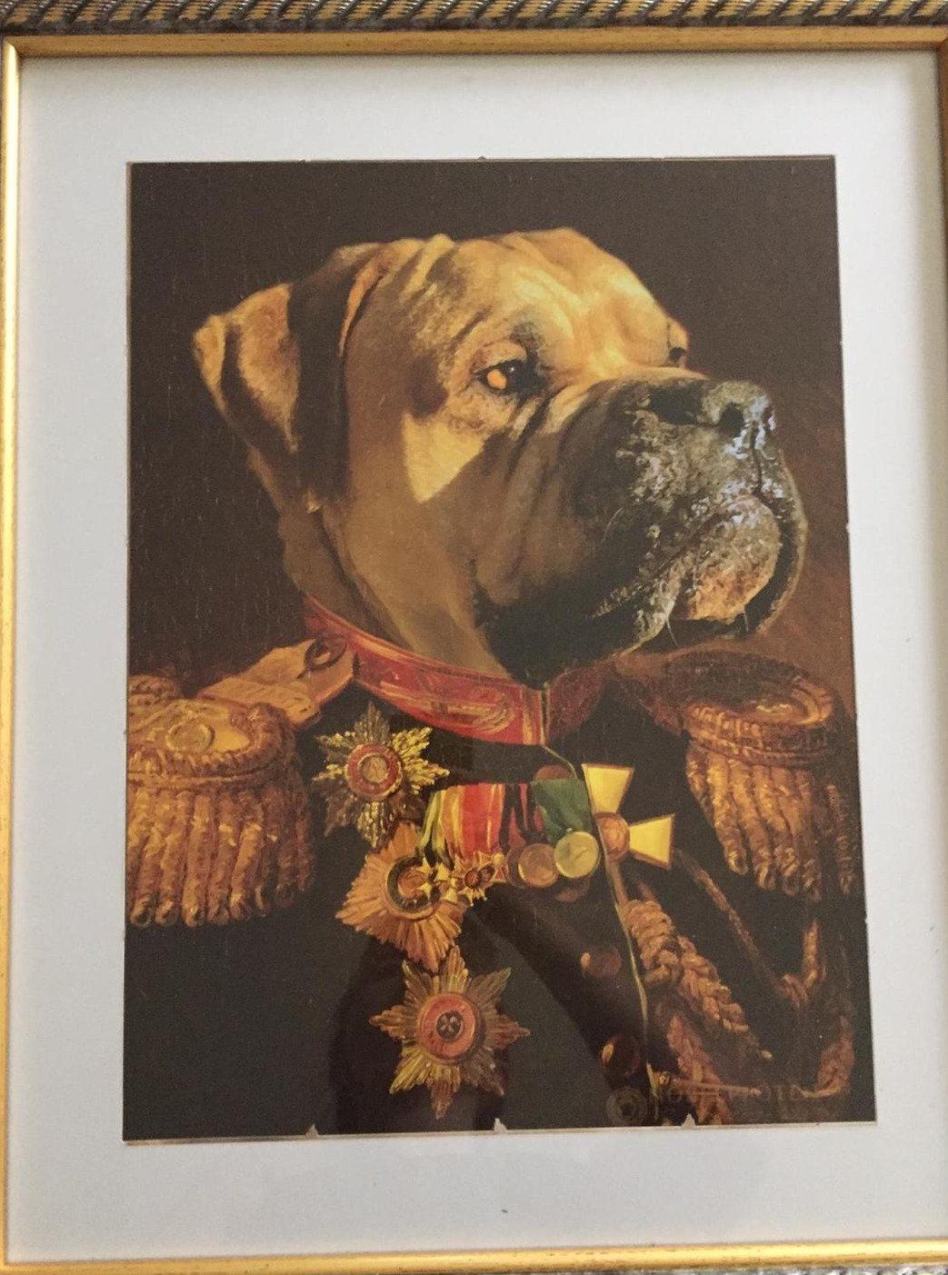 Der Veteran -  Poster auf 250g Qualitätsdruck