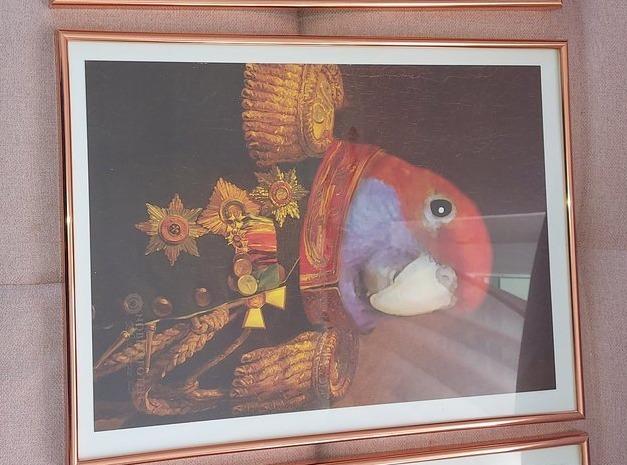 Der Veteran -  Poster auf 250g Qualitätsdruck