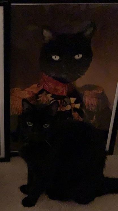 Der Veteran -  Poster auf 250g Qualitätsdruck