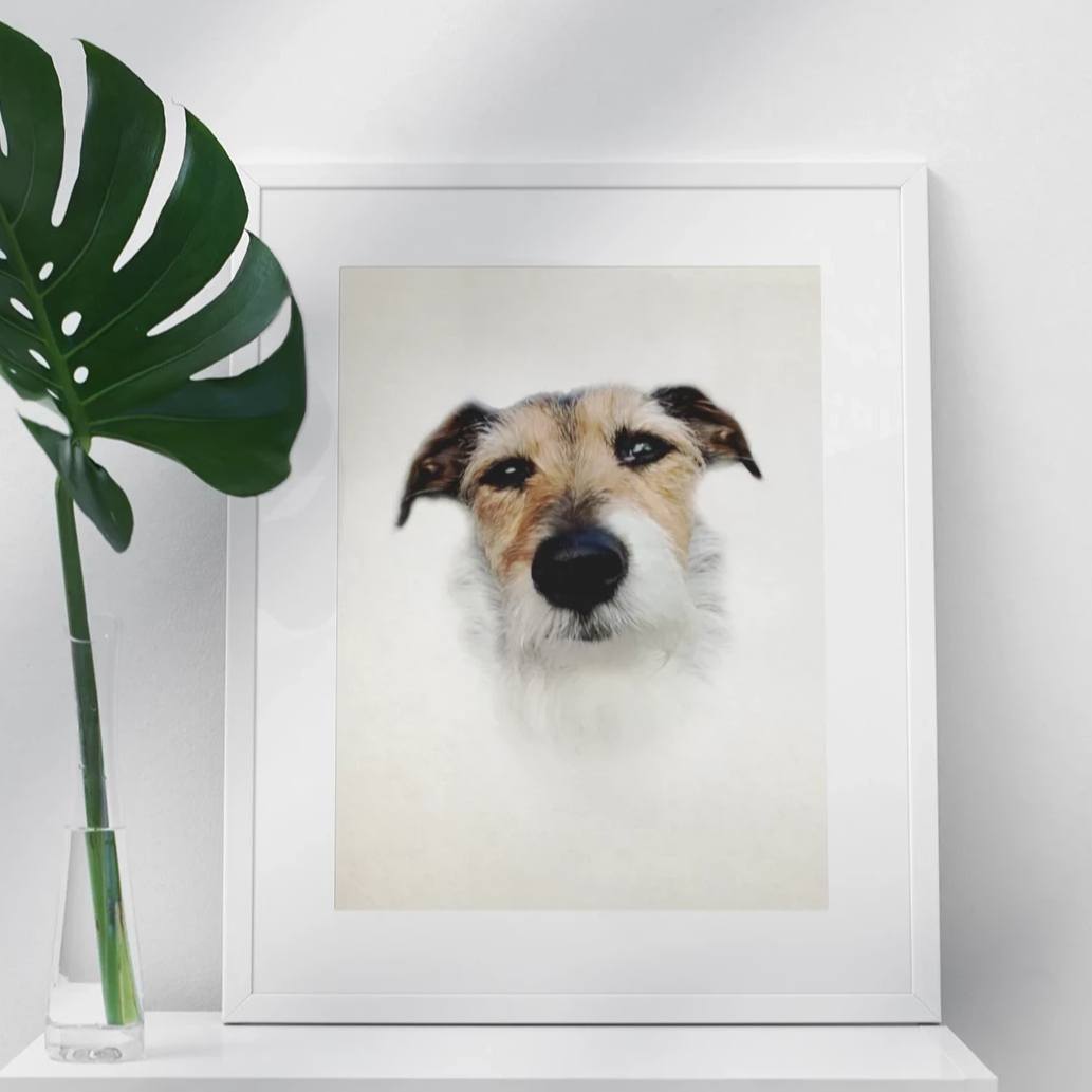 Porträt Hund klassisch einfach